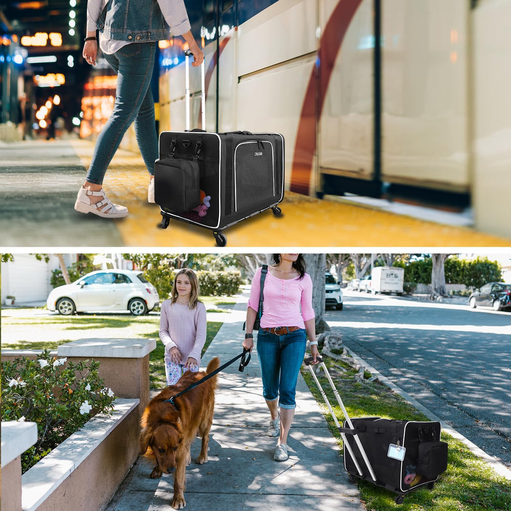 Transportín Petskd para coche con sujeción segura.