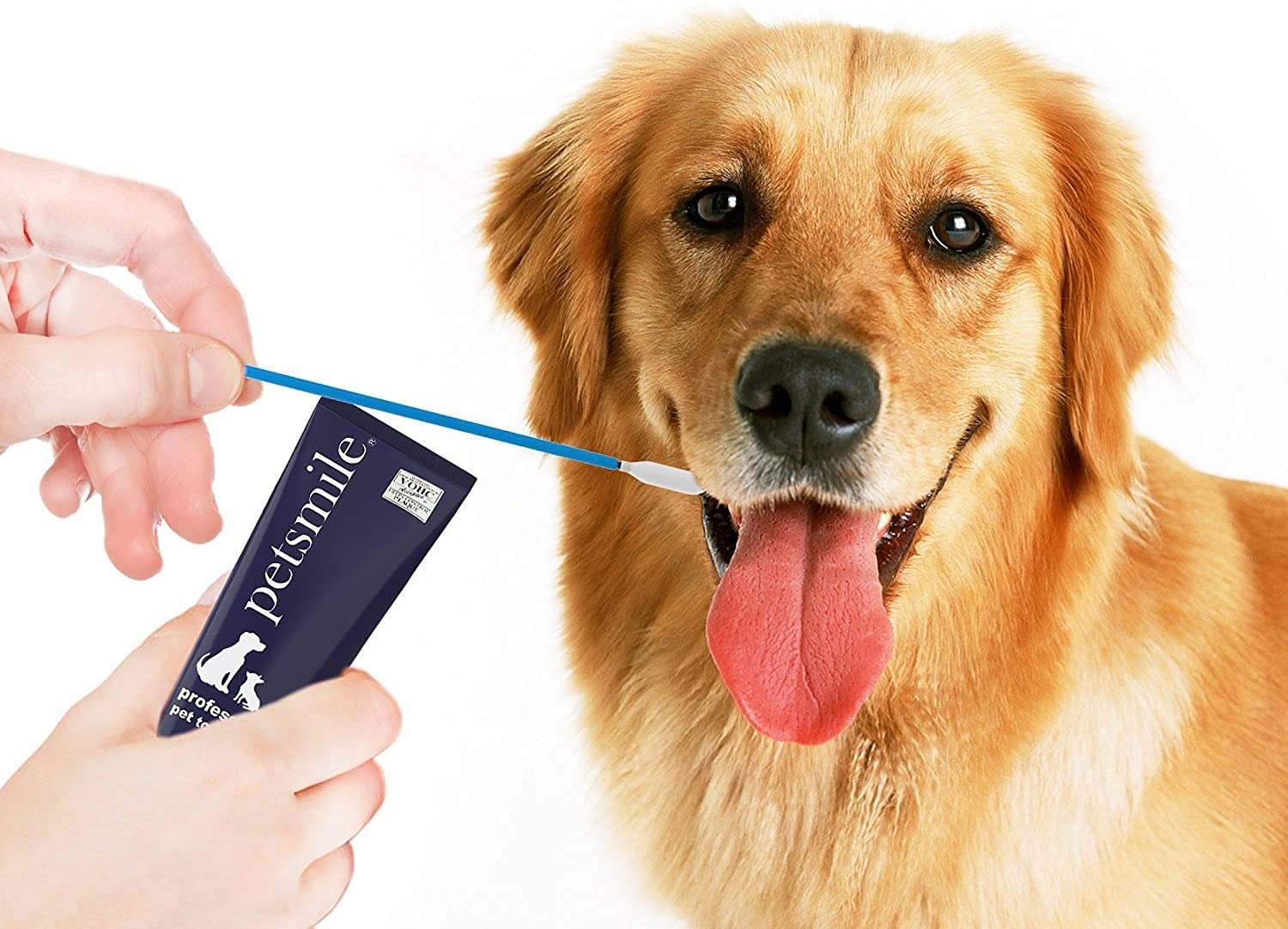 Petsmile empaque de 50 unidades para uso diario.