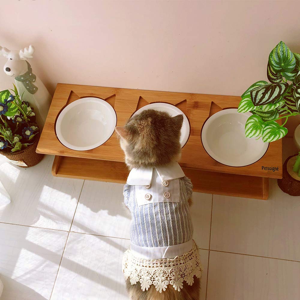 Petsoigné base antideslizante evita derrames durante las comidas de tu mascota.