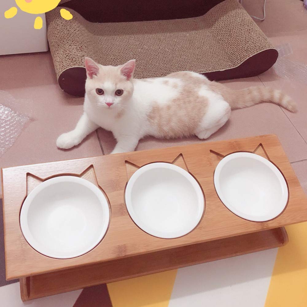Petsoigné conjunto de tres cuencos ideal para varios gatos o perros pequeños.