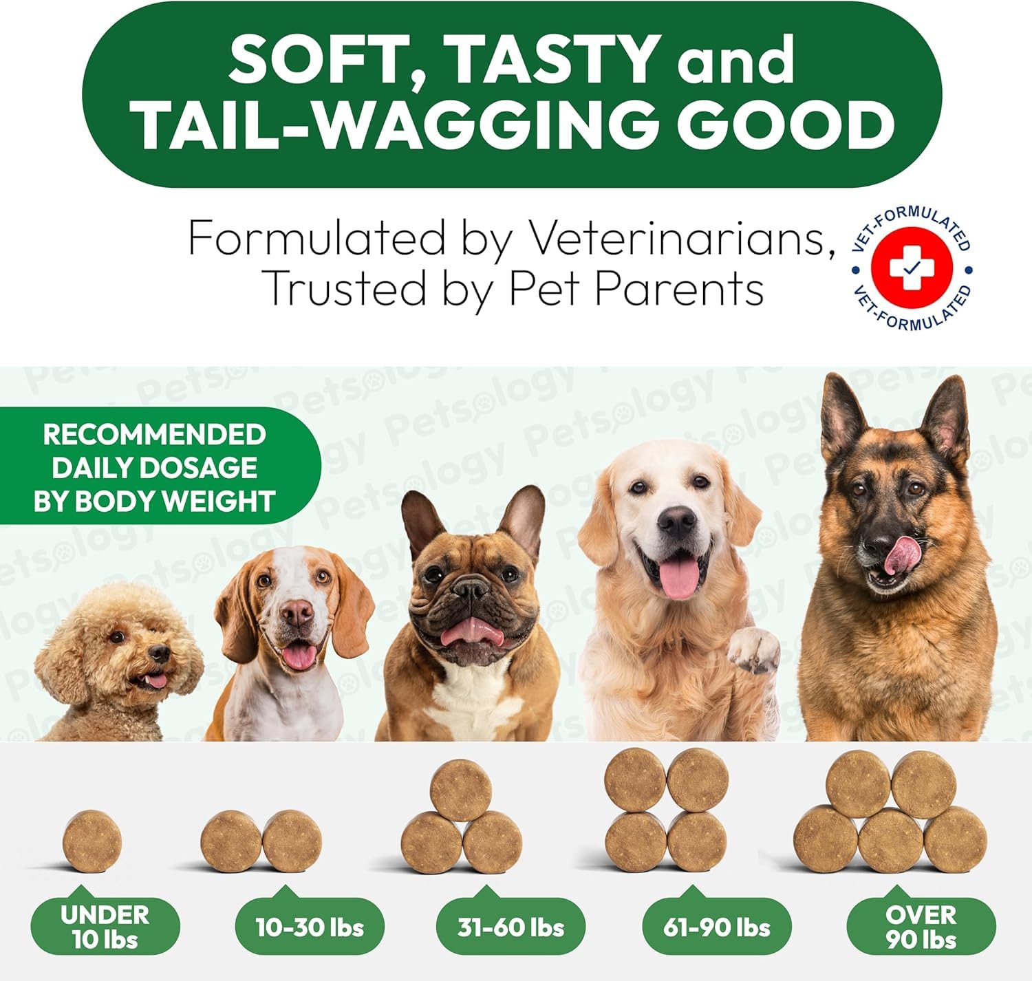 Petsology bocados sabrosos para perros durante el juego.
