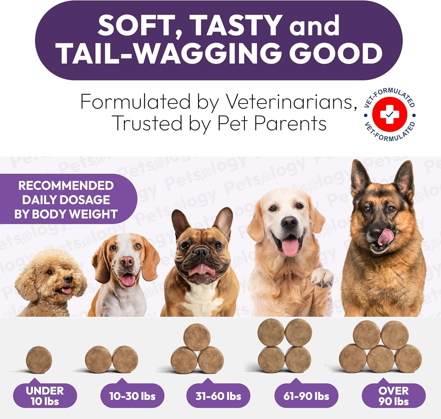 Rutina diaria de perro con masticables Petsology para apoyo potencial de salud.