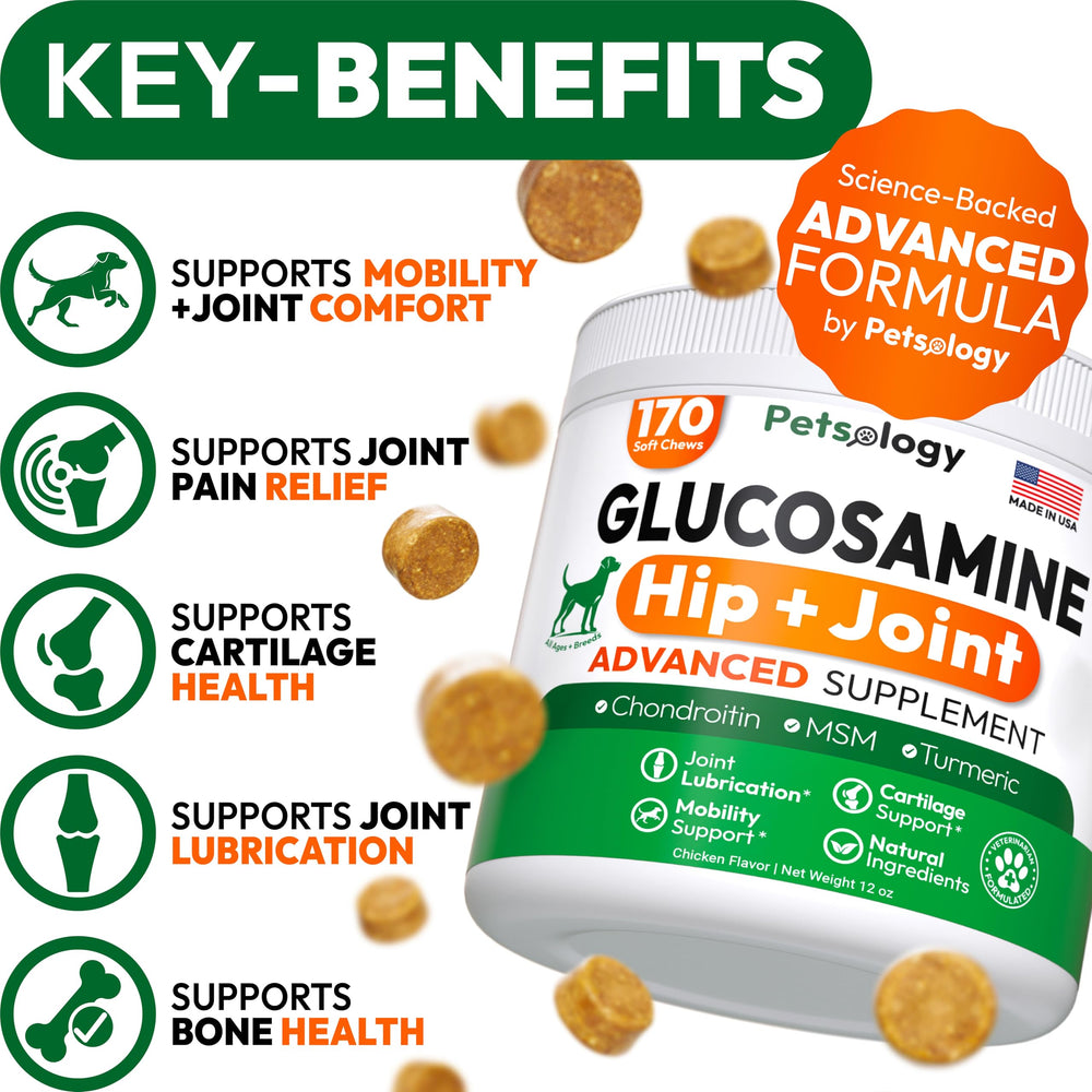 Petsology glucosamina para perros: articulaciones mejoradas para caminar sin molestias.