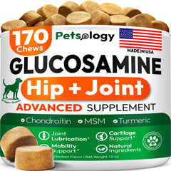 Petsology glucosamina para perros: gomitas-movilidad para mantener la flexibilidad diaria.