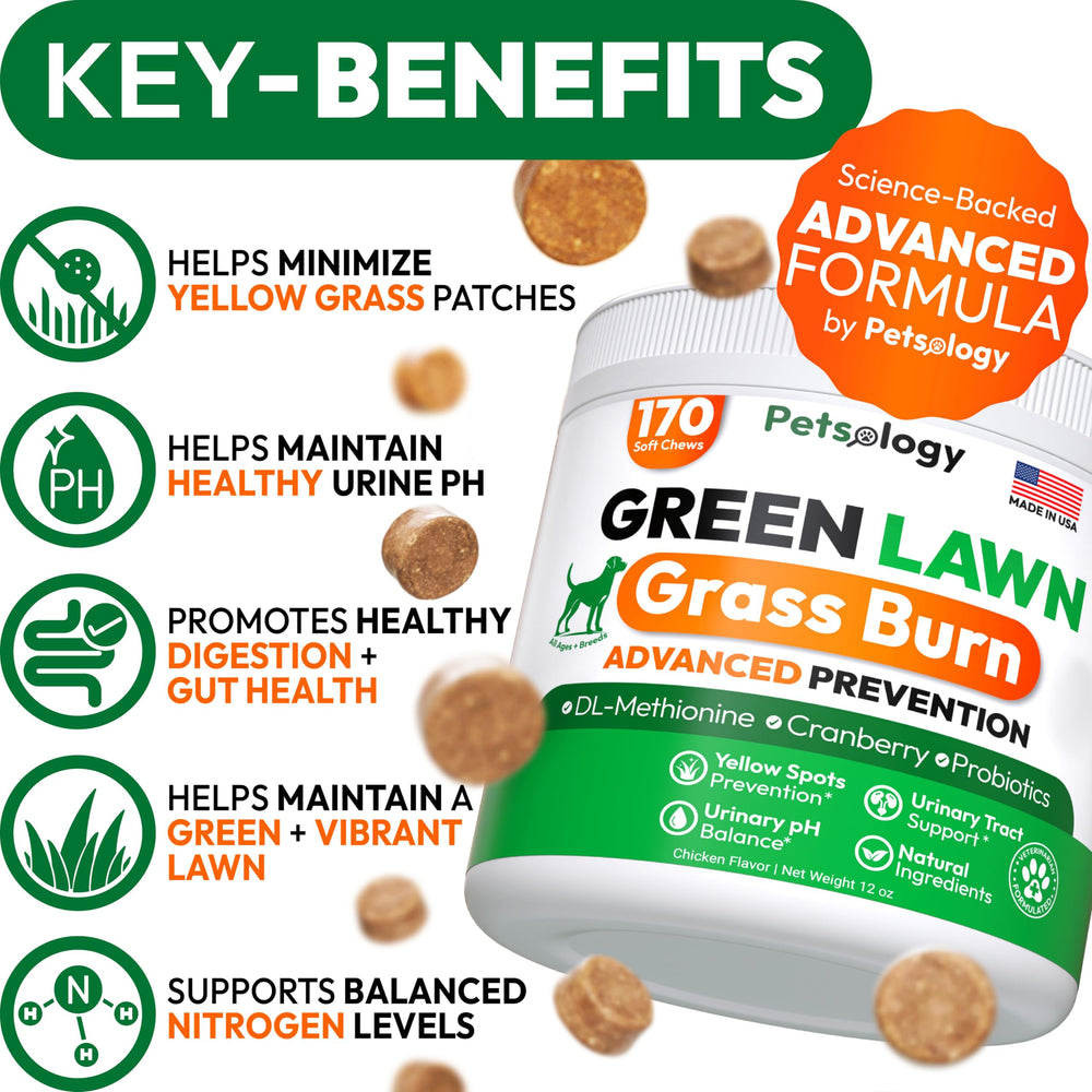 Petsology gomitas verdes para perros, sabor agradable y potencial apoyo digestivo.