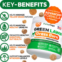Petsology gomitas verdes para perros, sabor agradable y potencial apoyo digestivo.