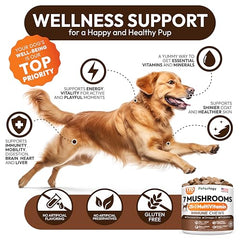 Petsology Hongos Cola de Pavo, perro activo, ofrece energía y claridad mental.