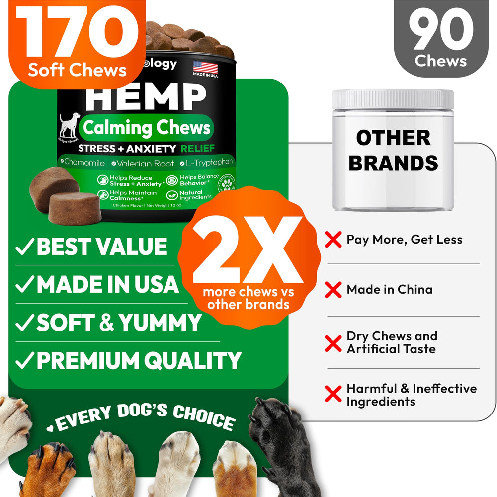 Ingredientes naturales de Petsology: hemp y melatonina para bienestar suave.