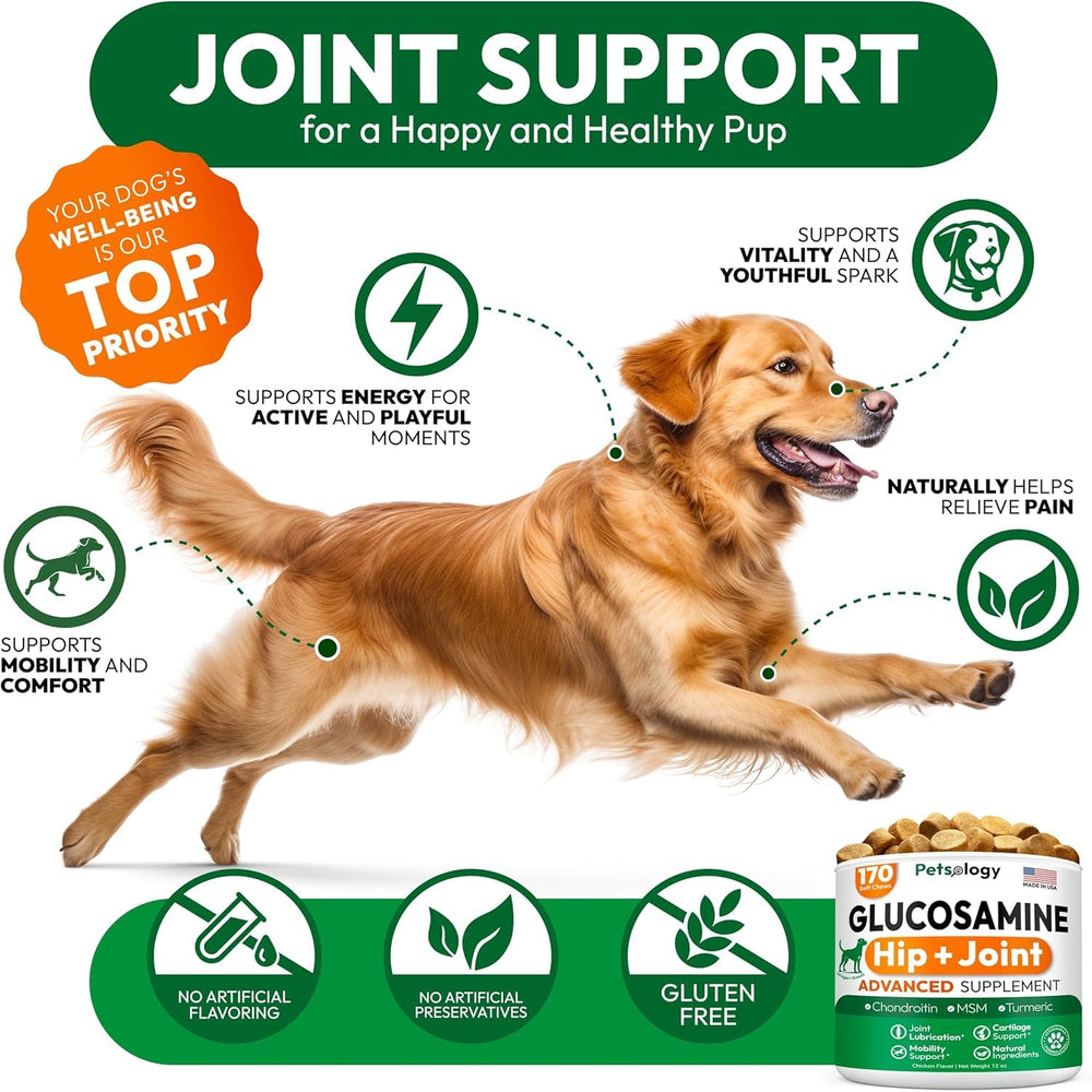 Petsology ingredientes naturales sin aditivos artificiales para perros.