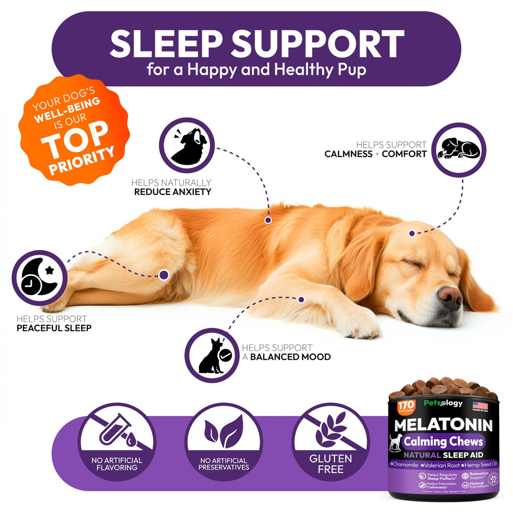 Petsology Melatonina Avanzada para Perros, cachorro durmiendo plácidamente