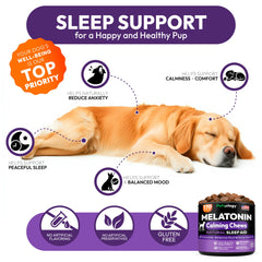 Petsology Melatonina Avanzada para Perros, cachorro durmiendo plácidamente