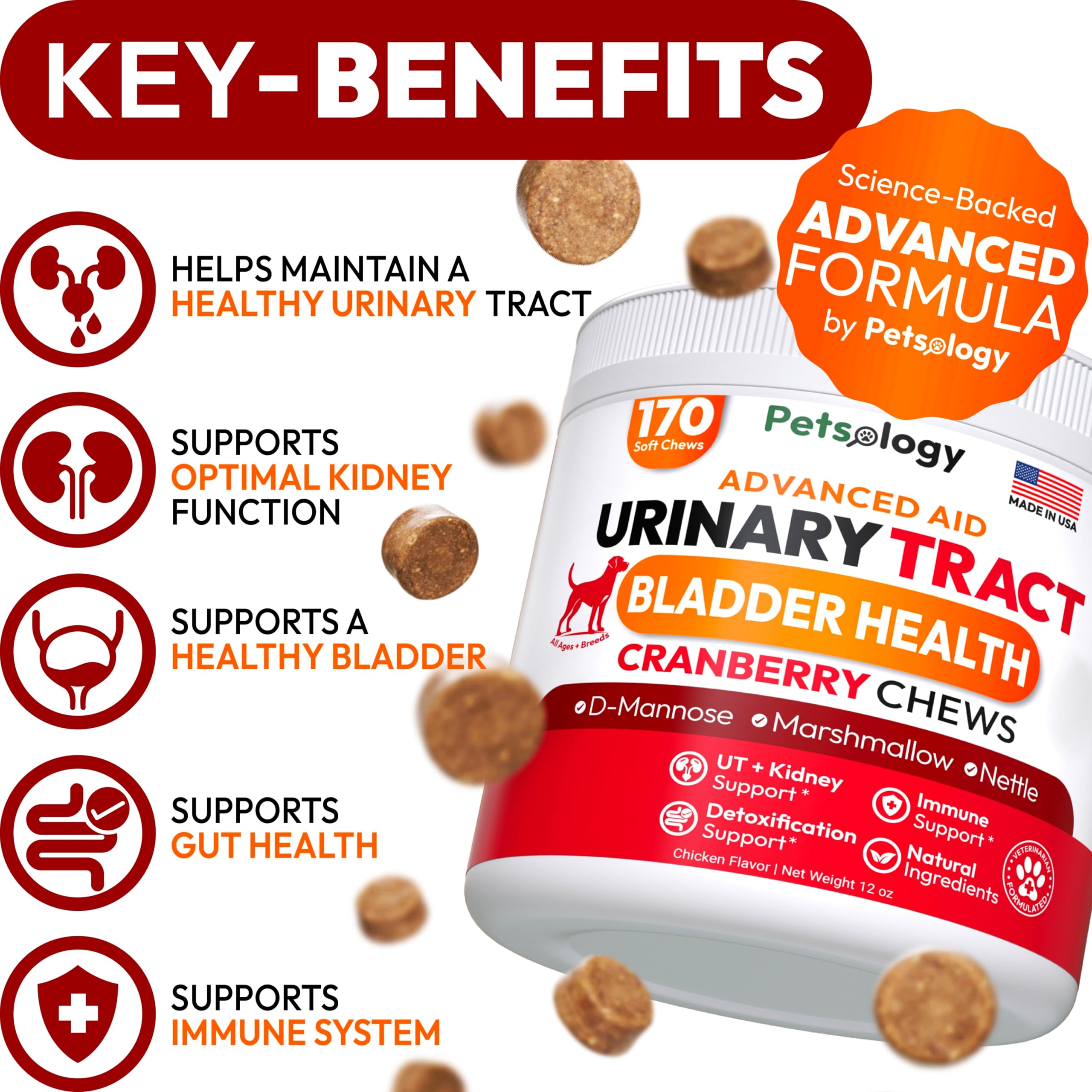 Petsology masticables con d-manosa y arándano para perros.
