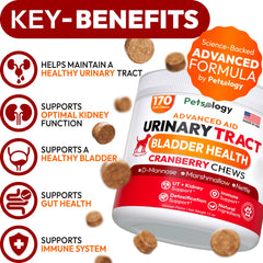 Petsology masticables con d-manosa y arándano para perros.