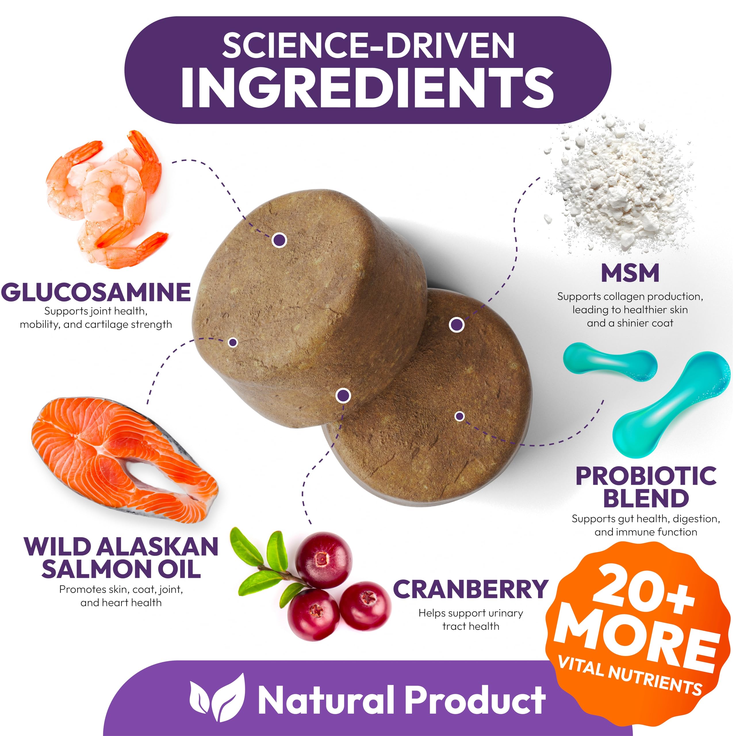 Petsology Dog Multivitamin: etiqueta detallada que muestra ingredientes y beneficios para perros.