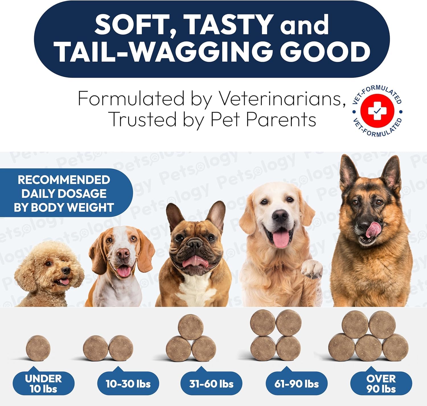 Petsology probióticos para perros, fortalecimiento de la inmunidad y equilibrio intestinal.