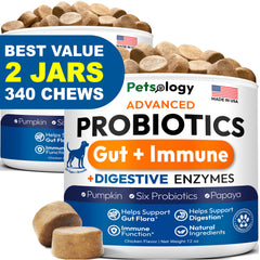 Petsology probióticos para perros, botella de gomitas, apoyo digestivo diario.