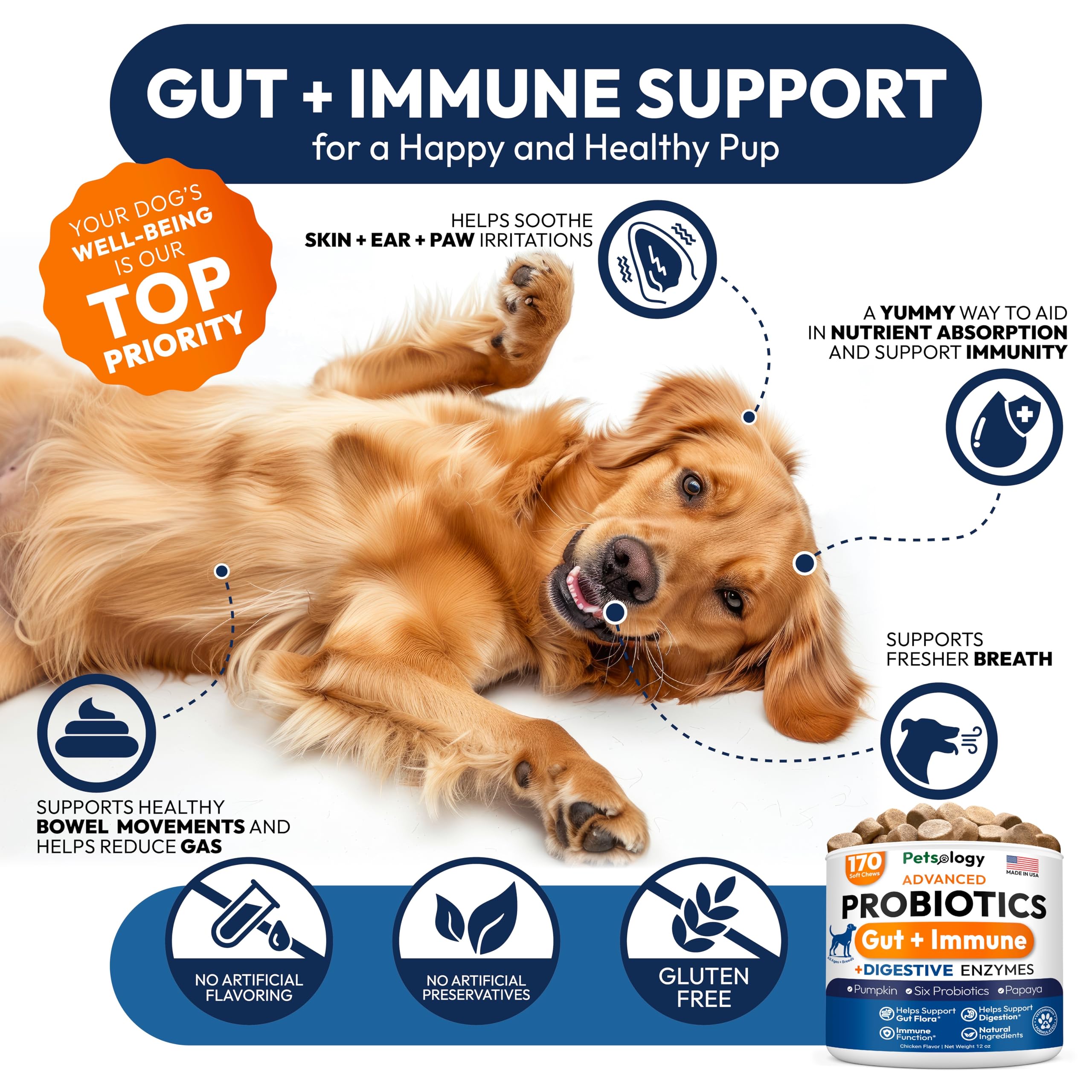 Petsology probióticos para perros, digestión mejorada, enzimas digestivas en primer plano.