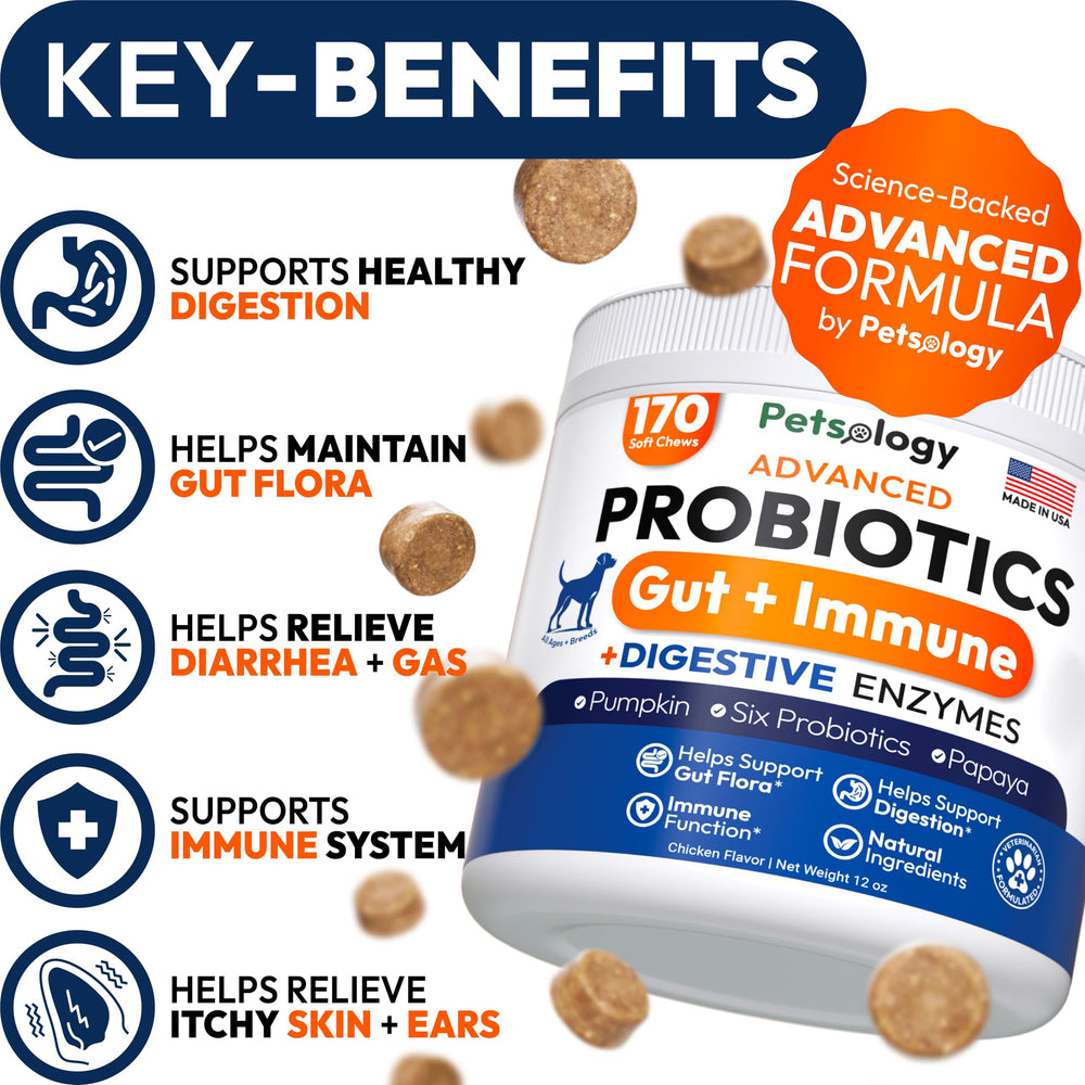 Petsology probióticos para perros, gomitas, favorecen equilibrio intestinal.