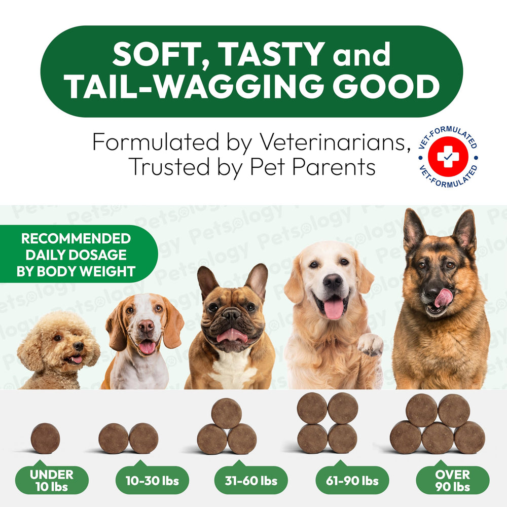 Uso diario con Petsology para tranquilizar a perros.
