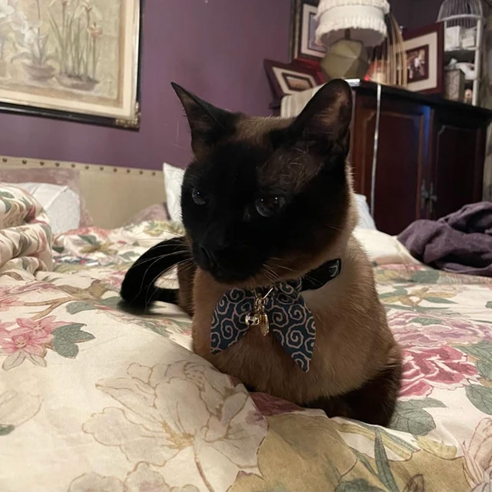 PetSoKoo collar hecho a mano: calidad artesanal para cada gato.