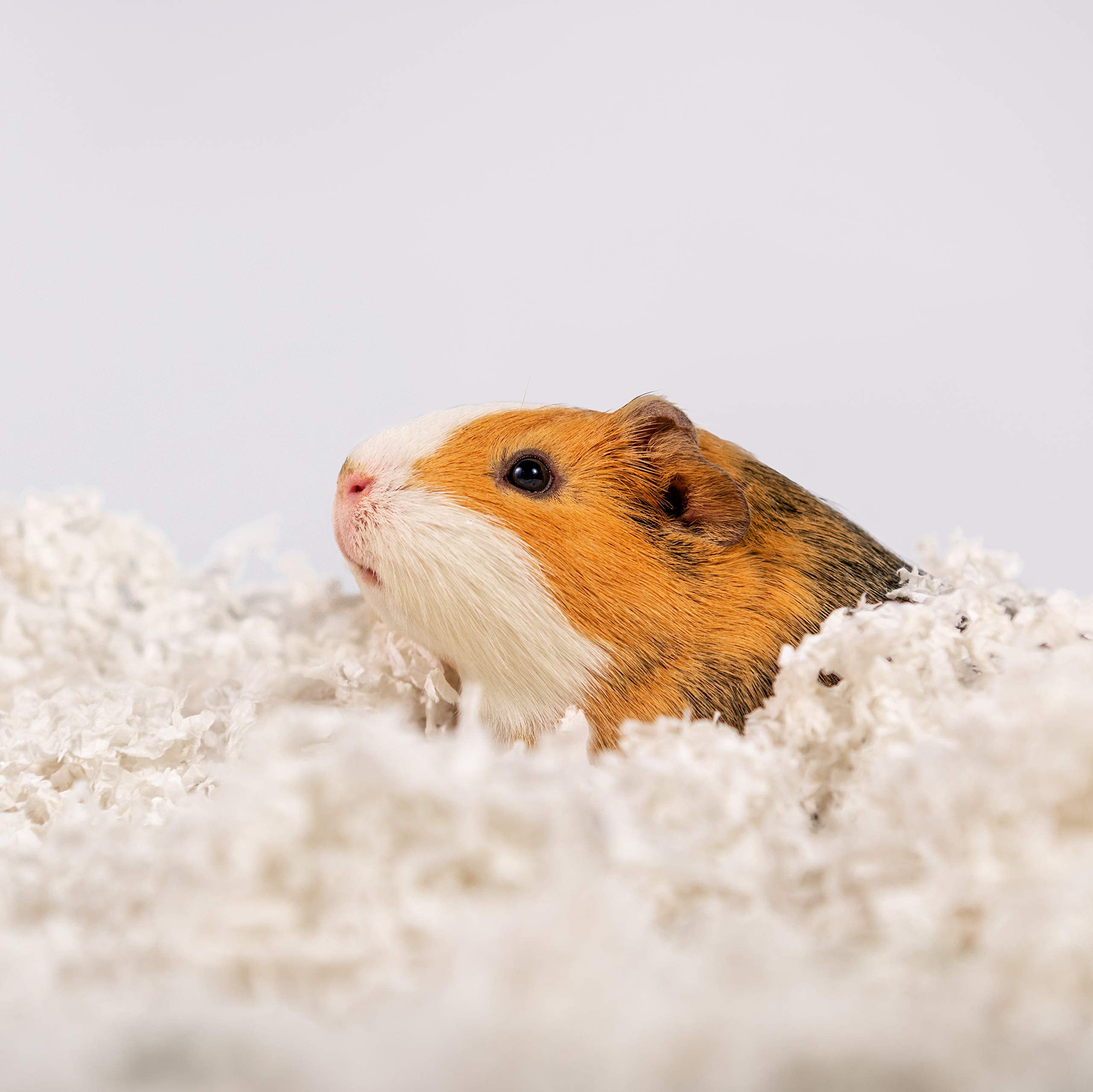 PETSPICK Uber Soft Paper Bedding absorbe humedad, ayuda a mantener seco