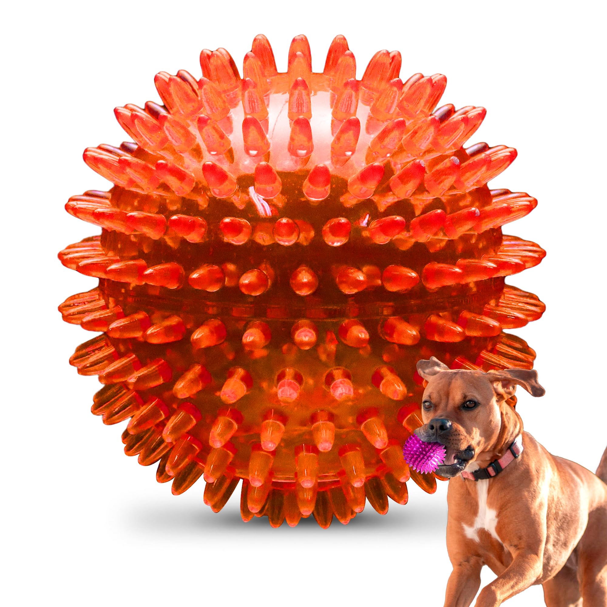 PetSport Gorilla Ball 5 pulgadas con picos para juego activo y mordidas seguras.