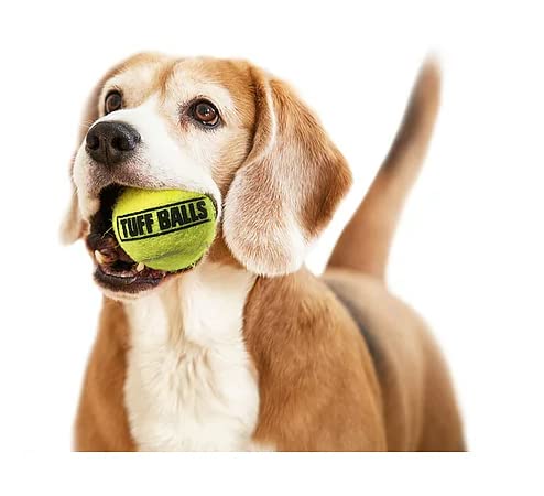 PetSport Jr Tuff Ball - durabilidad extra en juego intenso.
