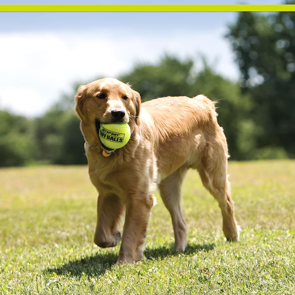 Pelota PetSport Jr Tuff Ball, recubierta con fieltro no abrasivo para dientes sanos.