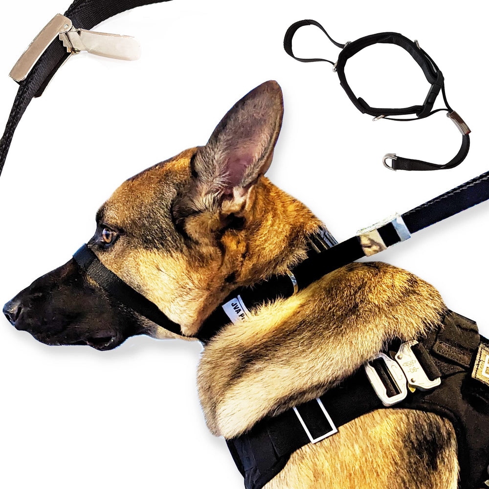 Pets ProMax collar de cabeza duradero y de alta calidad para perros de todos los tamaños