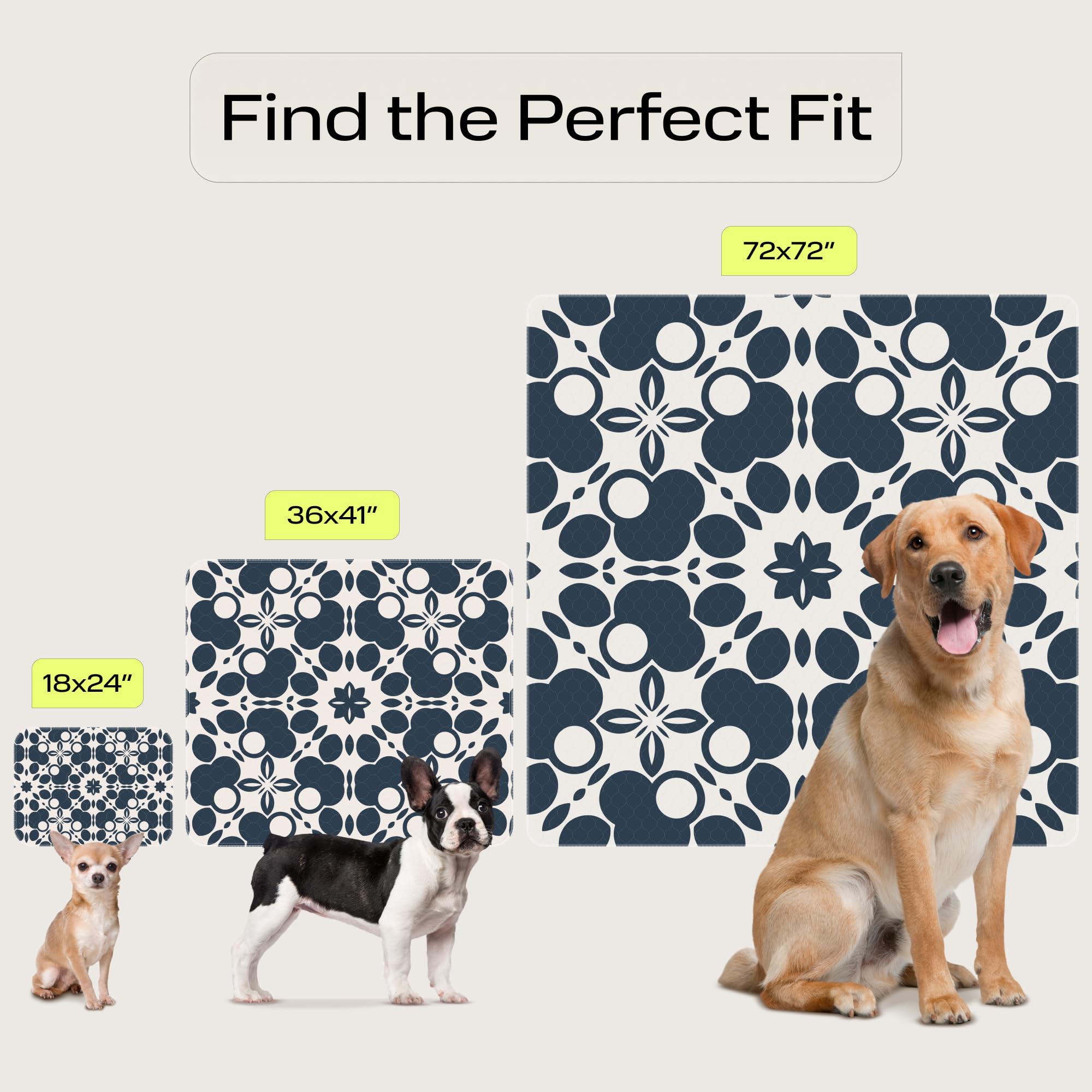 PetSpy absorcion rapida: retiene líquidos y reduce olores rápidamente.