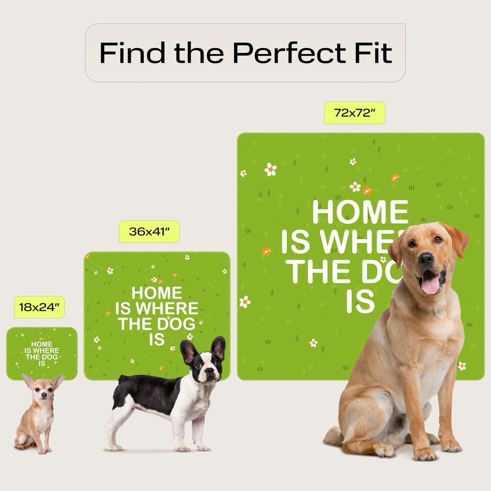 PetSpy almohadilla de orina con absorcion rapida para perros.
