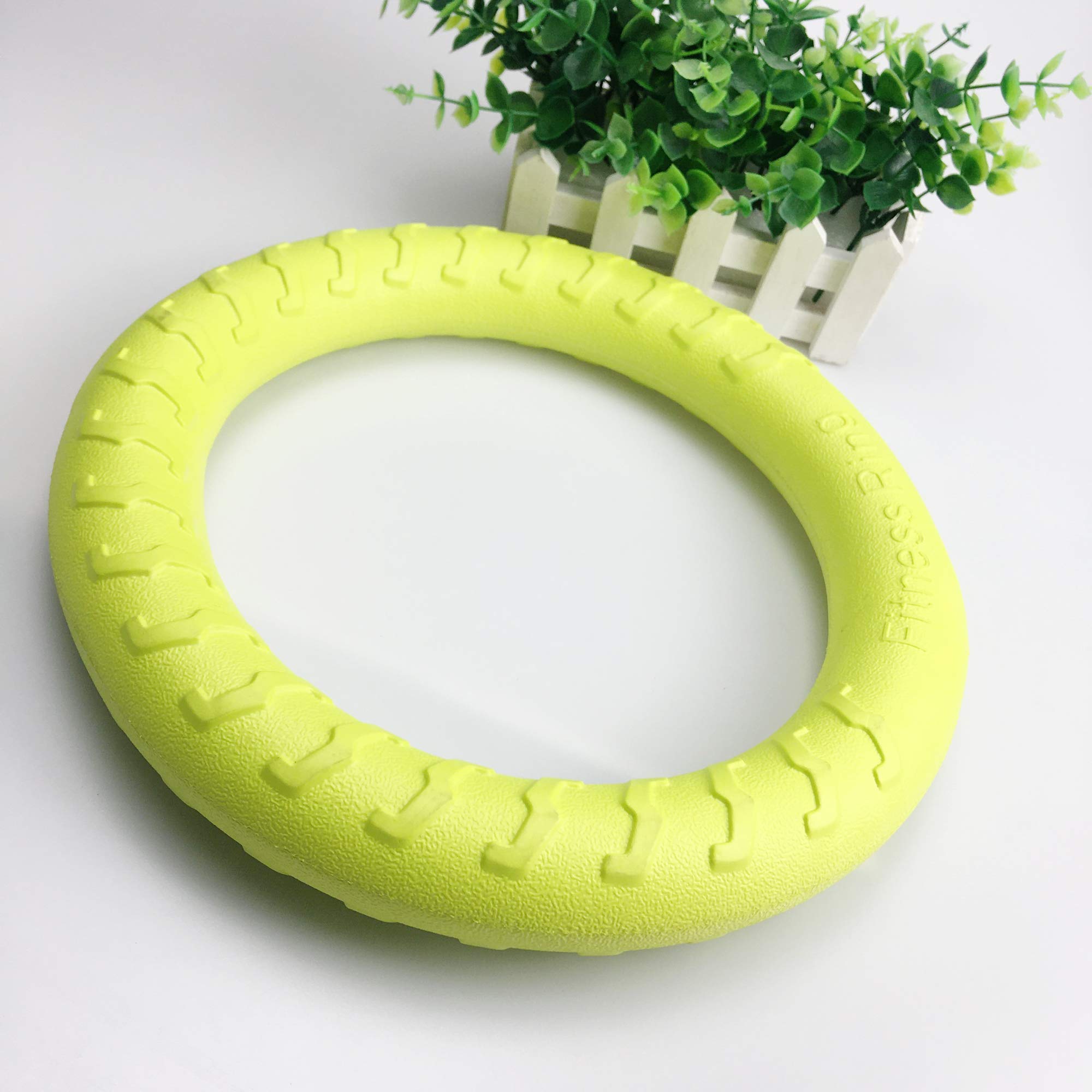PetSpy anillo ligero y portátil, perfecto para entrenar durante paseos.
