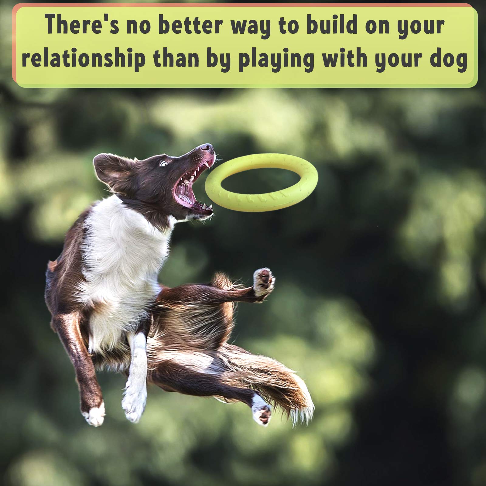 PetSpy anillo resistente para mordedores, diseñado para sesiones de juego prolongadas.