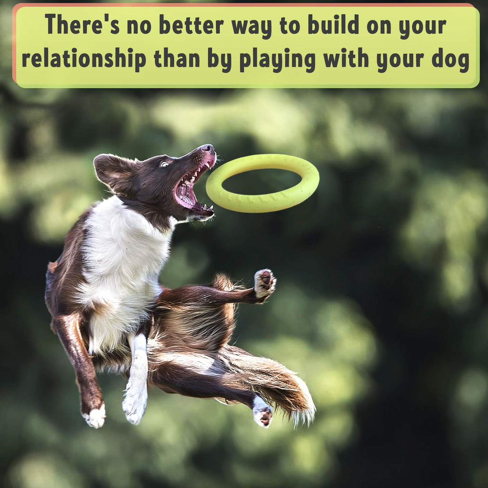 PetSpy anillo resistente para mordedores, diseñado para sesiones de juego prolongadas.