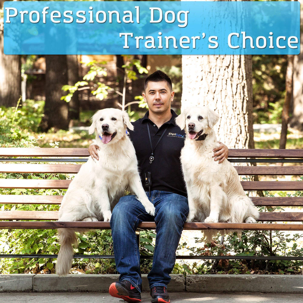 PetSpy P620 control remoto y funciones en el collar para entrenamientos eficientes.