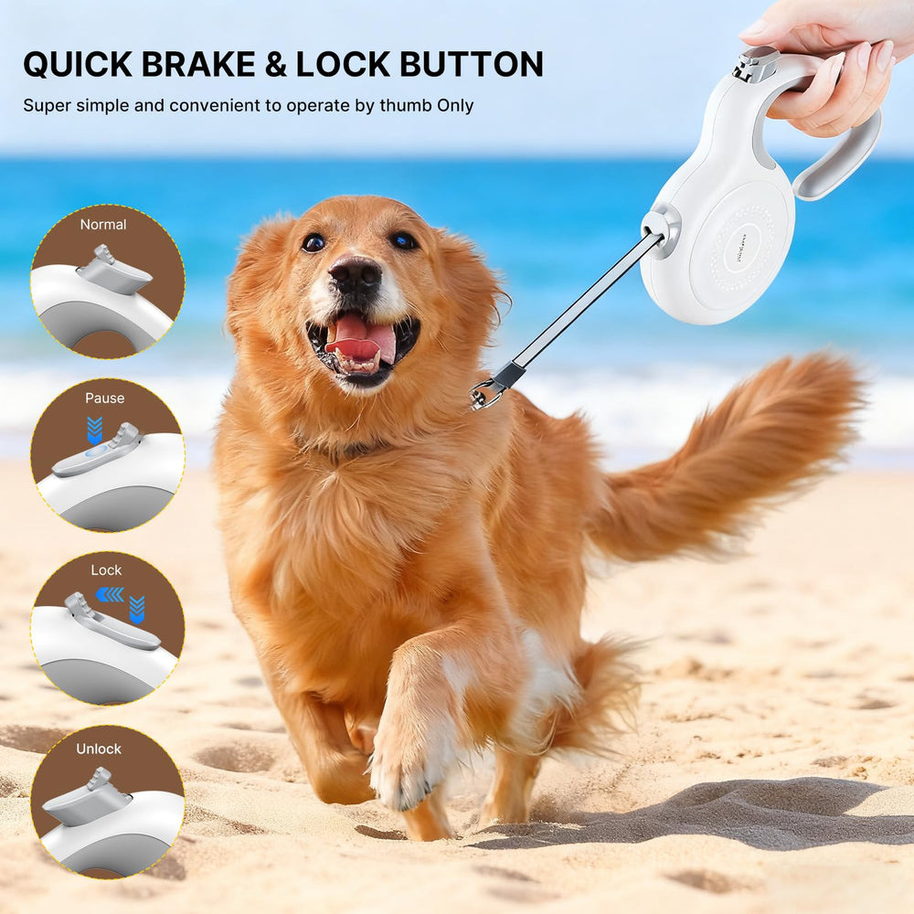Petsuper AutoBrake: sistema de freno automático para paseos más seguros.