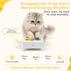 PETSWEET caja de queso para gatos, juego en interior.