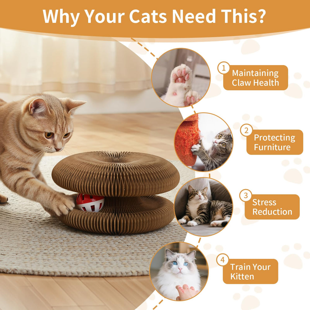 PETSWEET rascador-gato-cartón juego interactivo y vínculo entre dueño y gato.