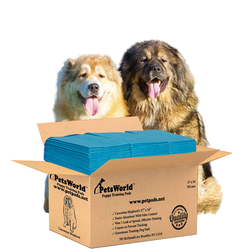 PETSWORLD almohadillas de entrenamiento para perros enormes, 37x54, ideal para interiores.