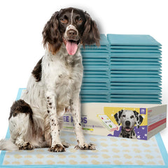 PETSWORLD tapetes de entrenamiento 36x36 para uso interior.