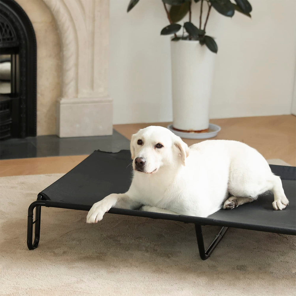 Pettycare cama para perros grandes, descanso cómodo gracias a altura y soporte.