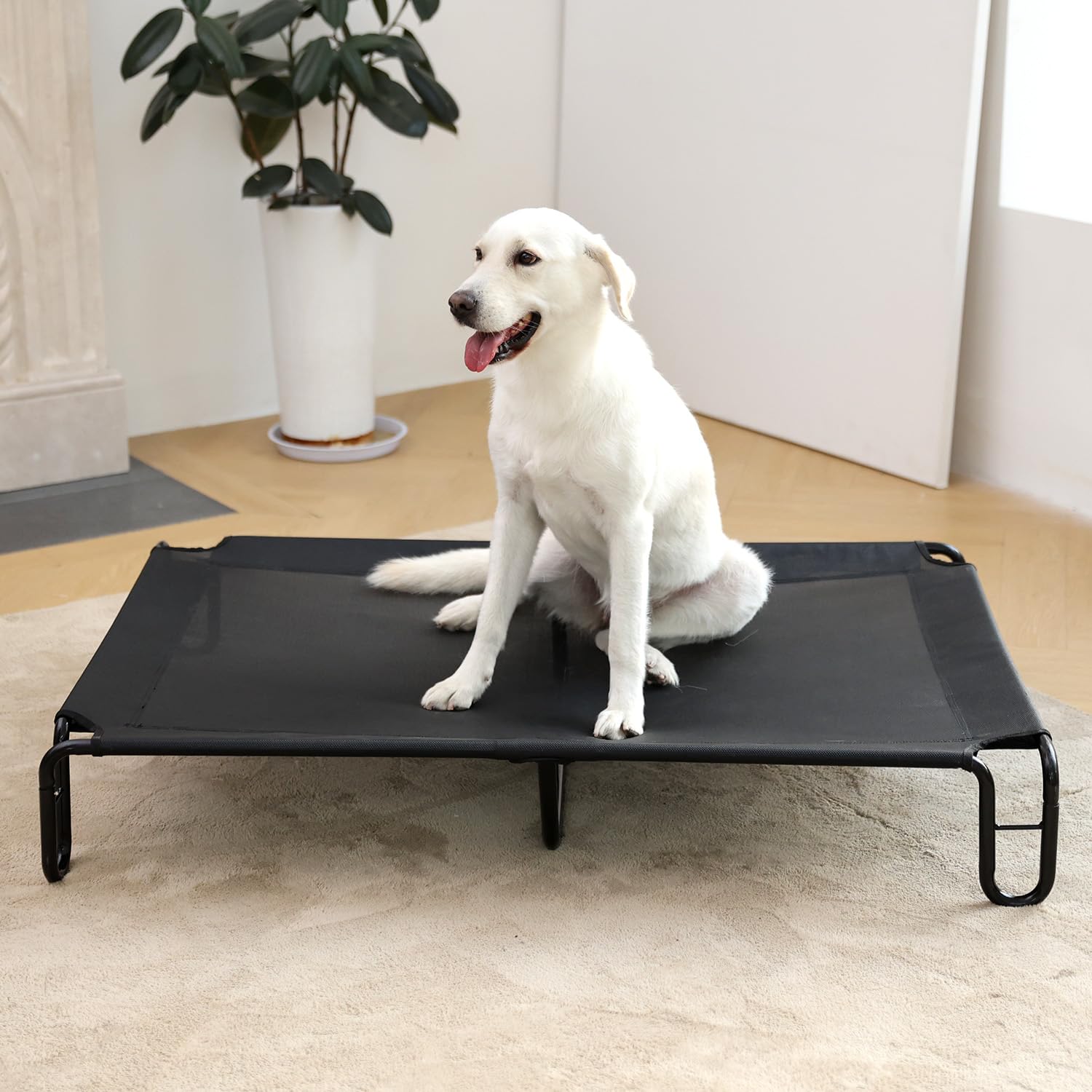 Pettycare funda removible lavable para limpieza rápida.
