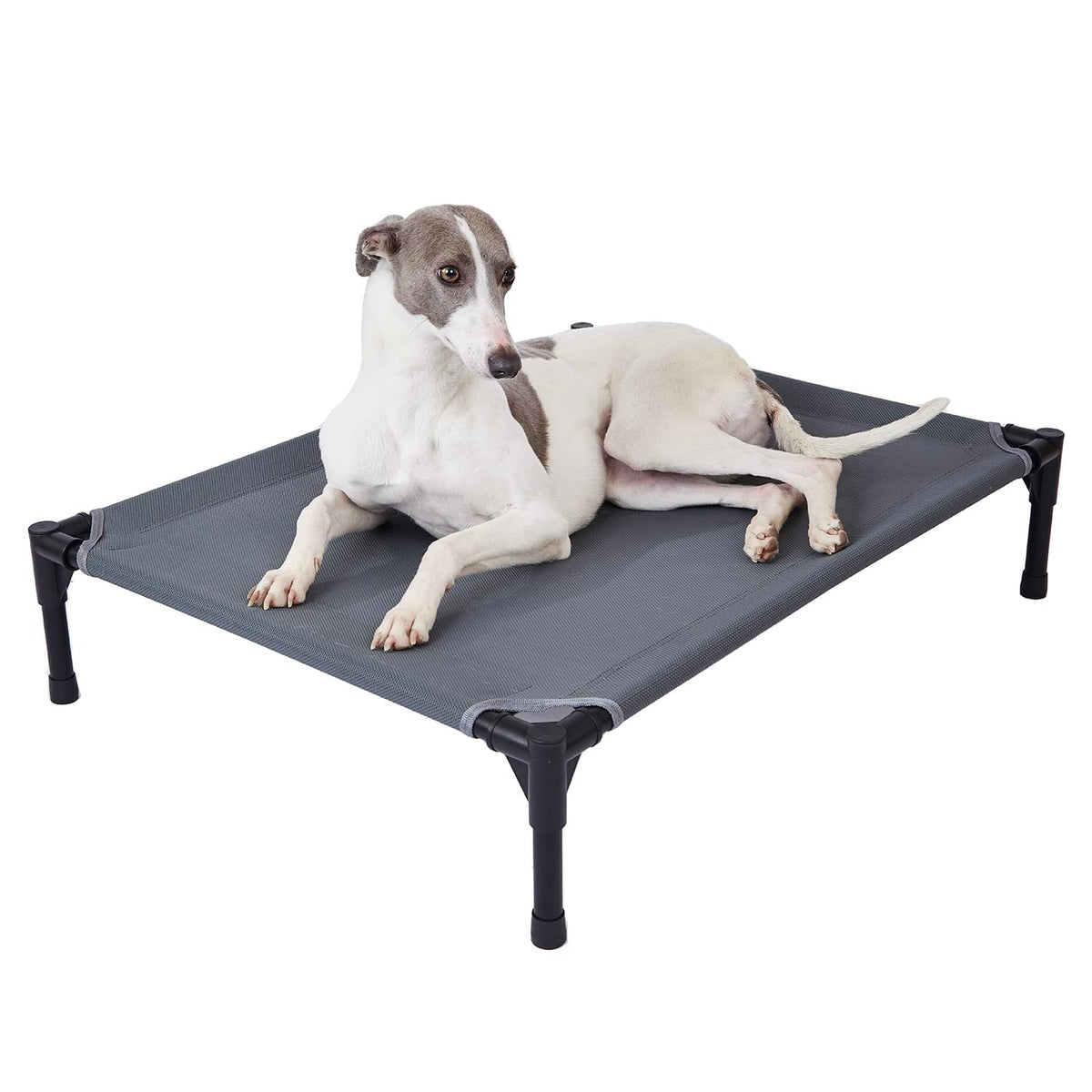 Pettycare Cama Elevada Exterior de 42 pulgadas para perros grandes, descanso al aire libre