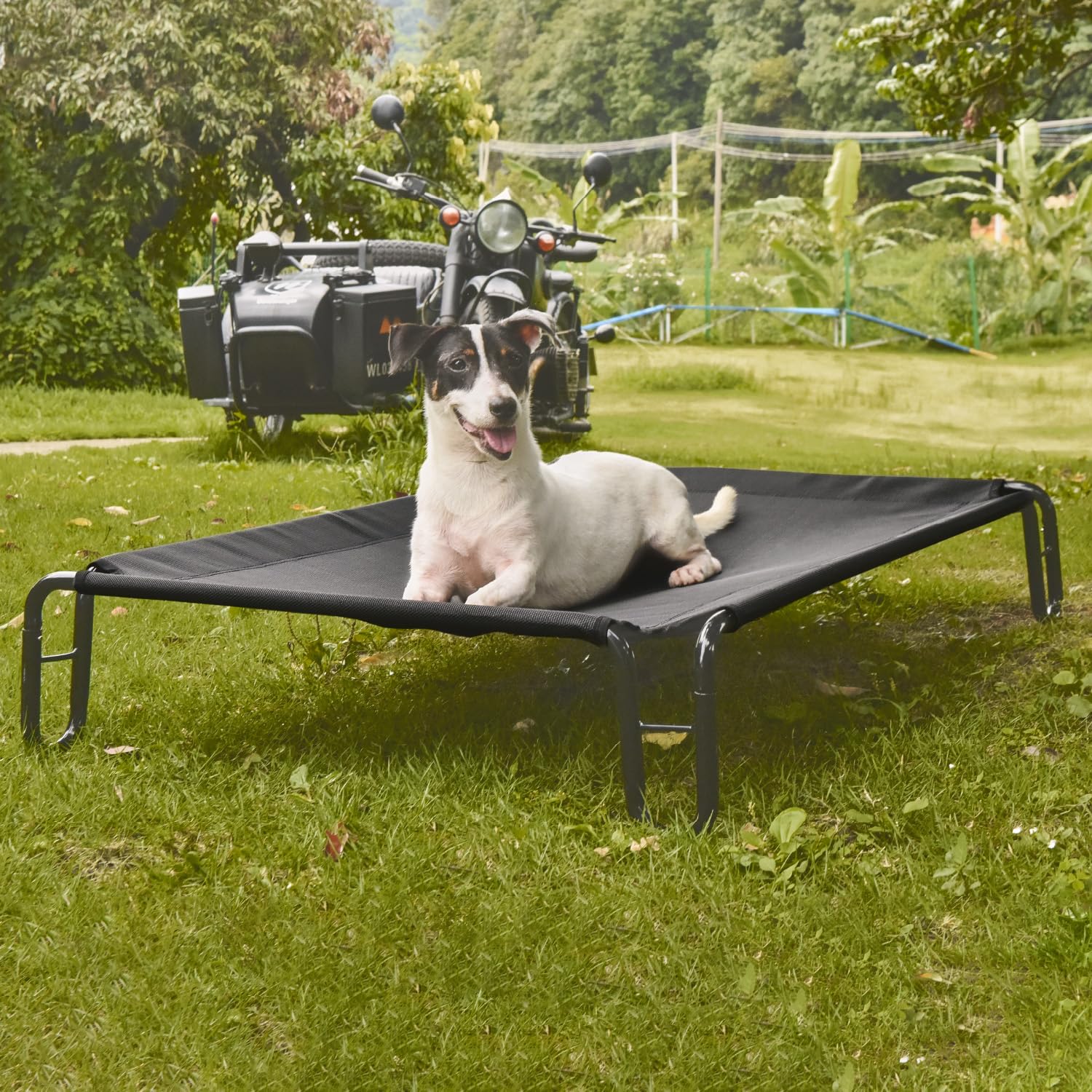 Pettycare cama perro elevada exterior ofrece descanso fresco al aire libre y apoyo estable.