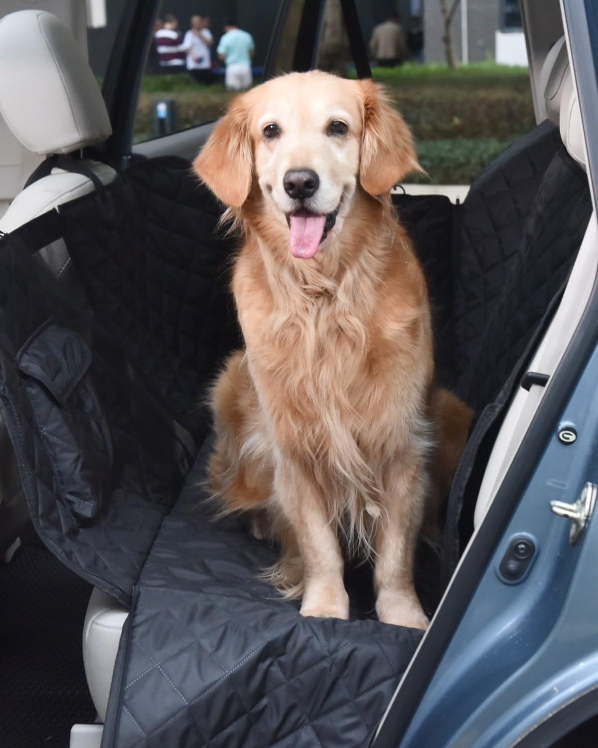 pettycare esterilla-acampada-perro ofrece superficie cómoda para salidas al aire libre.