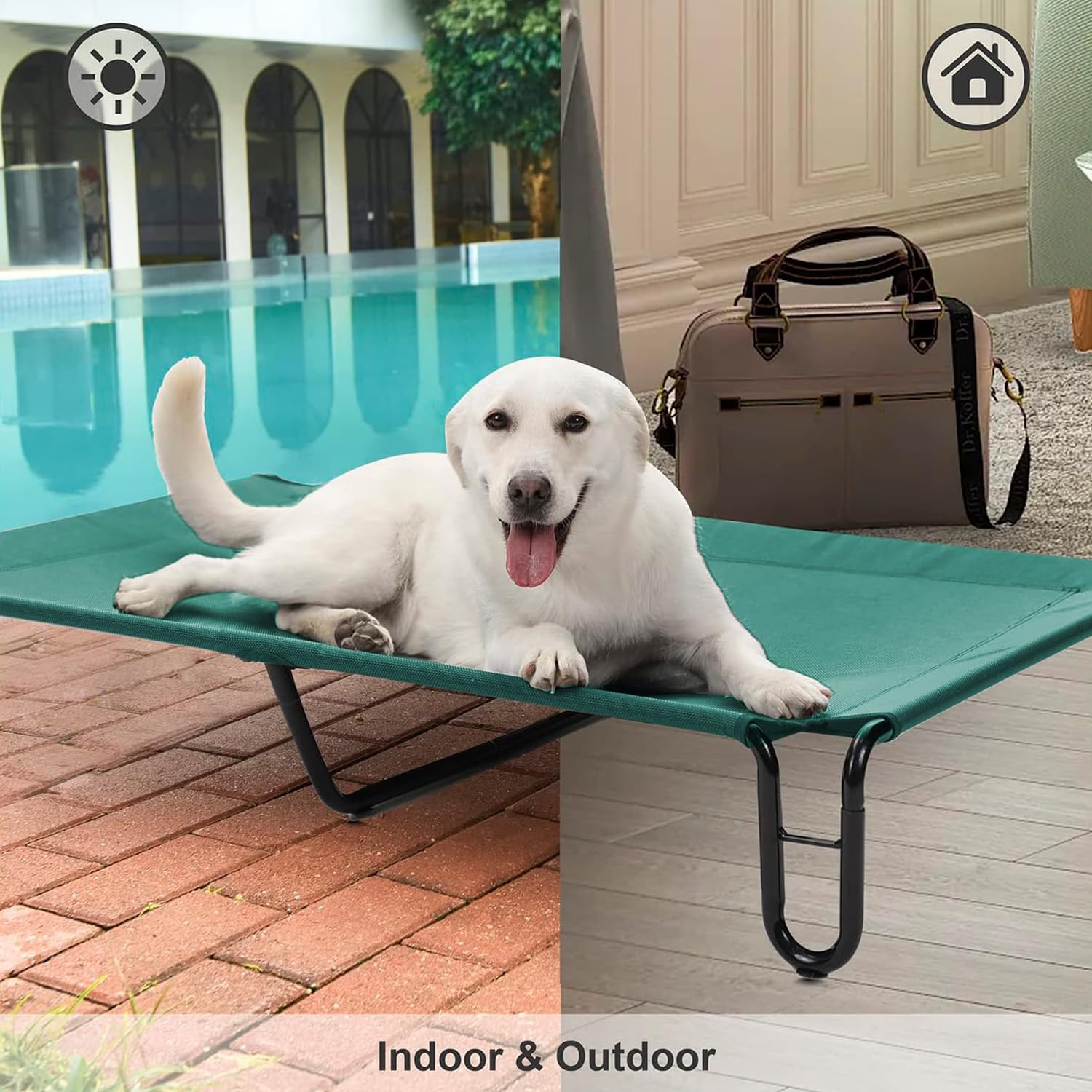 Pettycare Funda desmontable y lavable, limpieza rápida tras paseos.