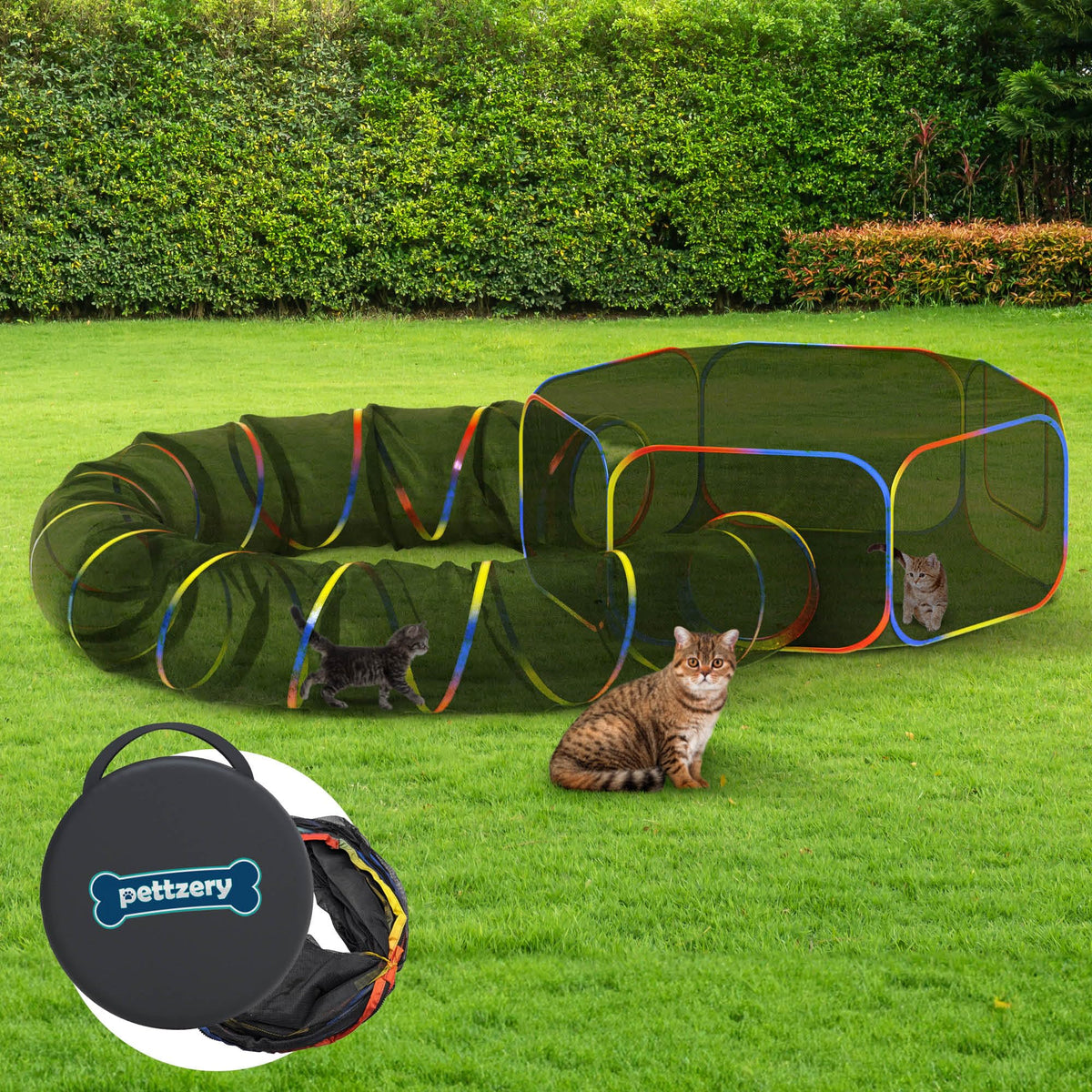 Pettzery caja externa para gatos, espacio amplio para juego al aire libre.