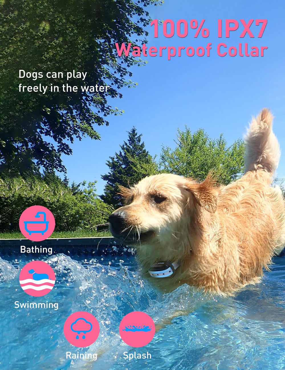 PETURE ajuste-cuello 8-27 pulgadas, compatible con perros de 10-120 lb.
