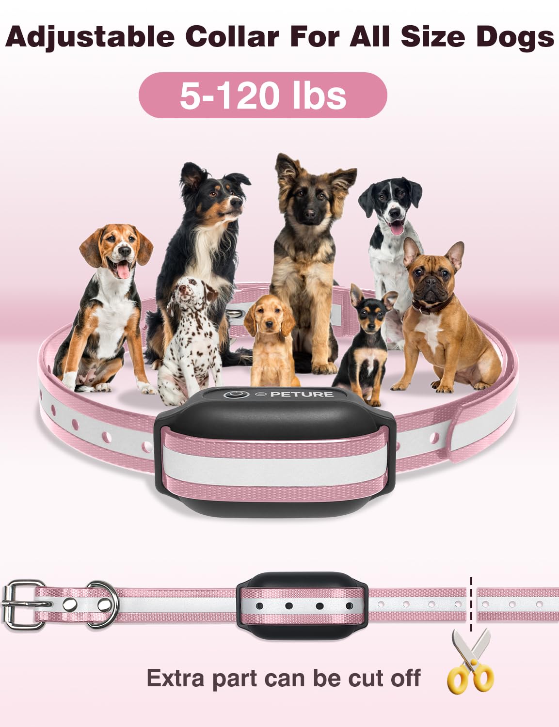 Paquete doble PETURE para entrenar dos perros simultáneamente.