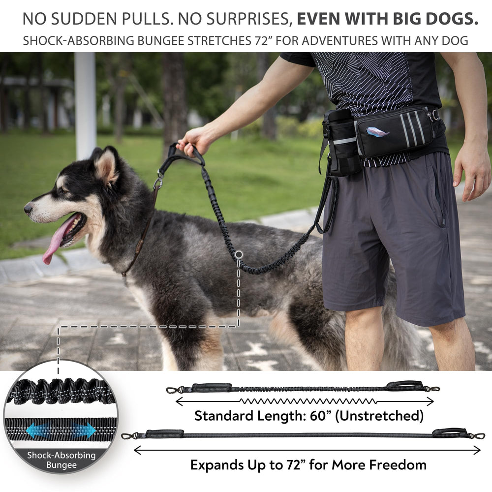 PetVenture amortiguadores de choque, absorben tirones para caminatas más suaves.